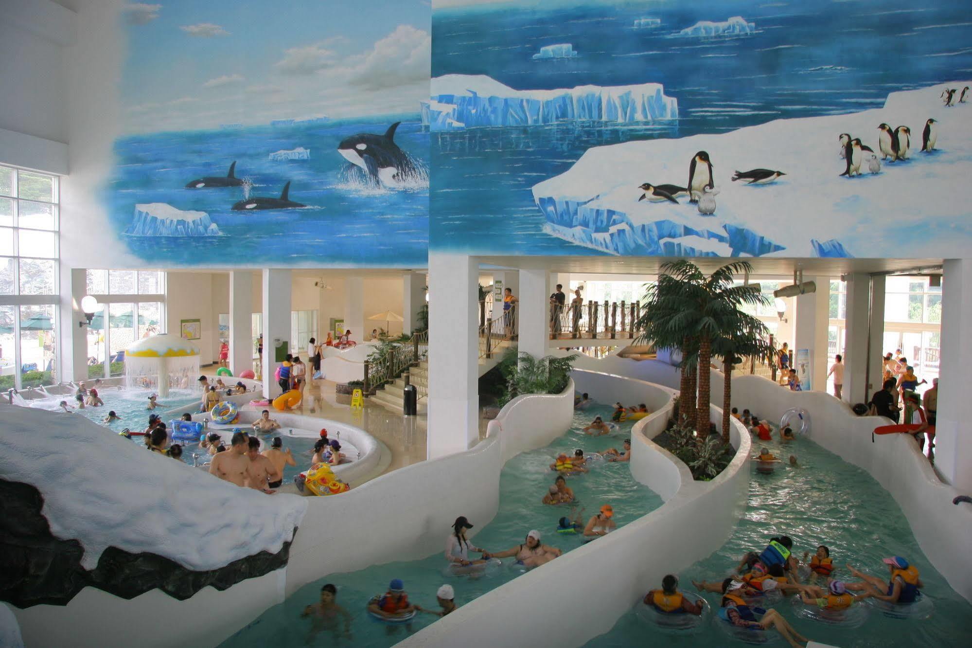 Yongpyong Resort Villa Condominium Pyeongchang Esterno foto